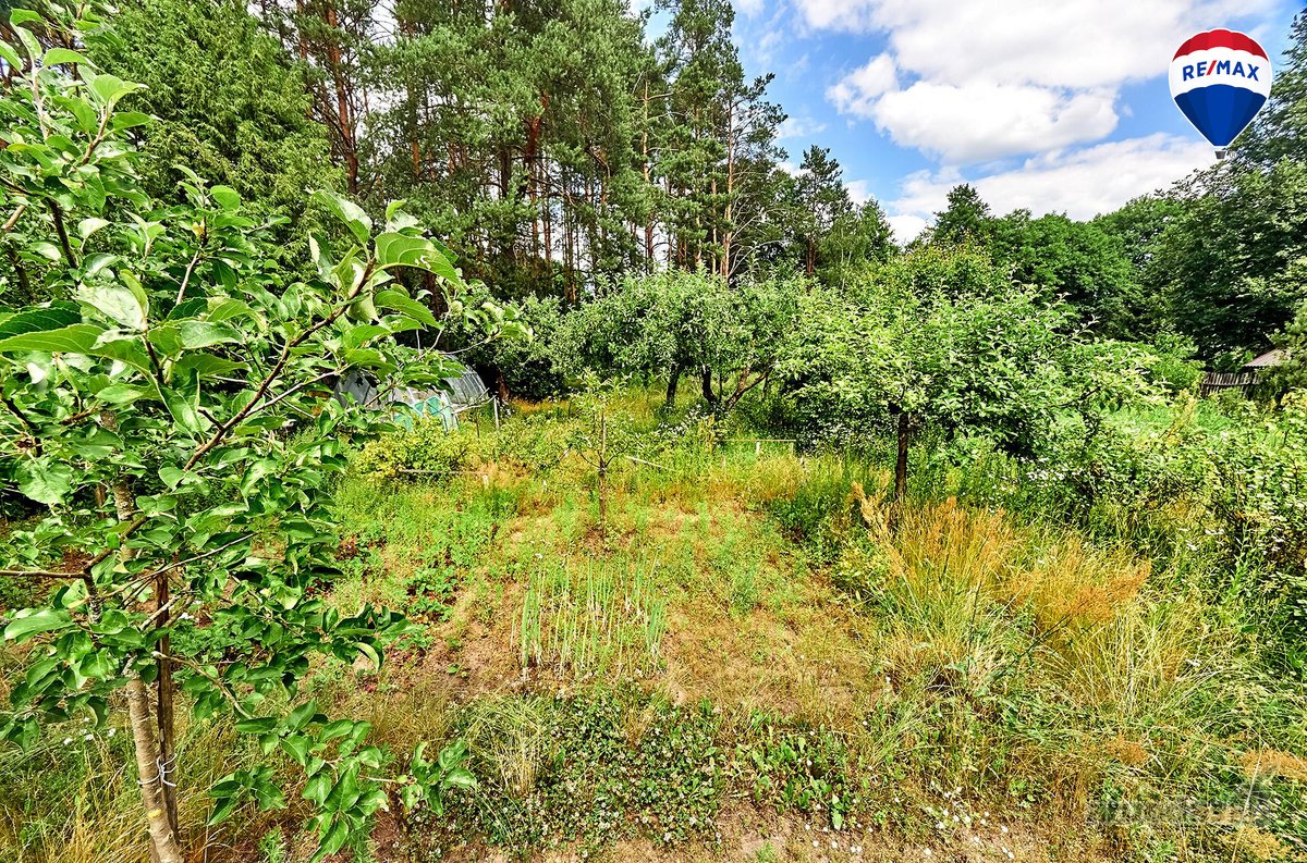 Parduodamas puikios lokacijos 10,65 a sklypas - nuotraukos Nr. 14