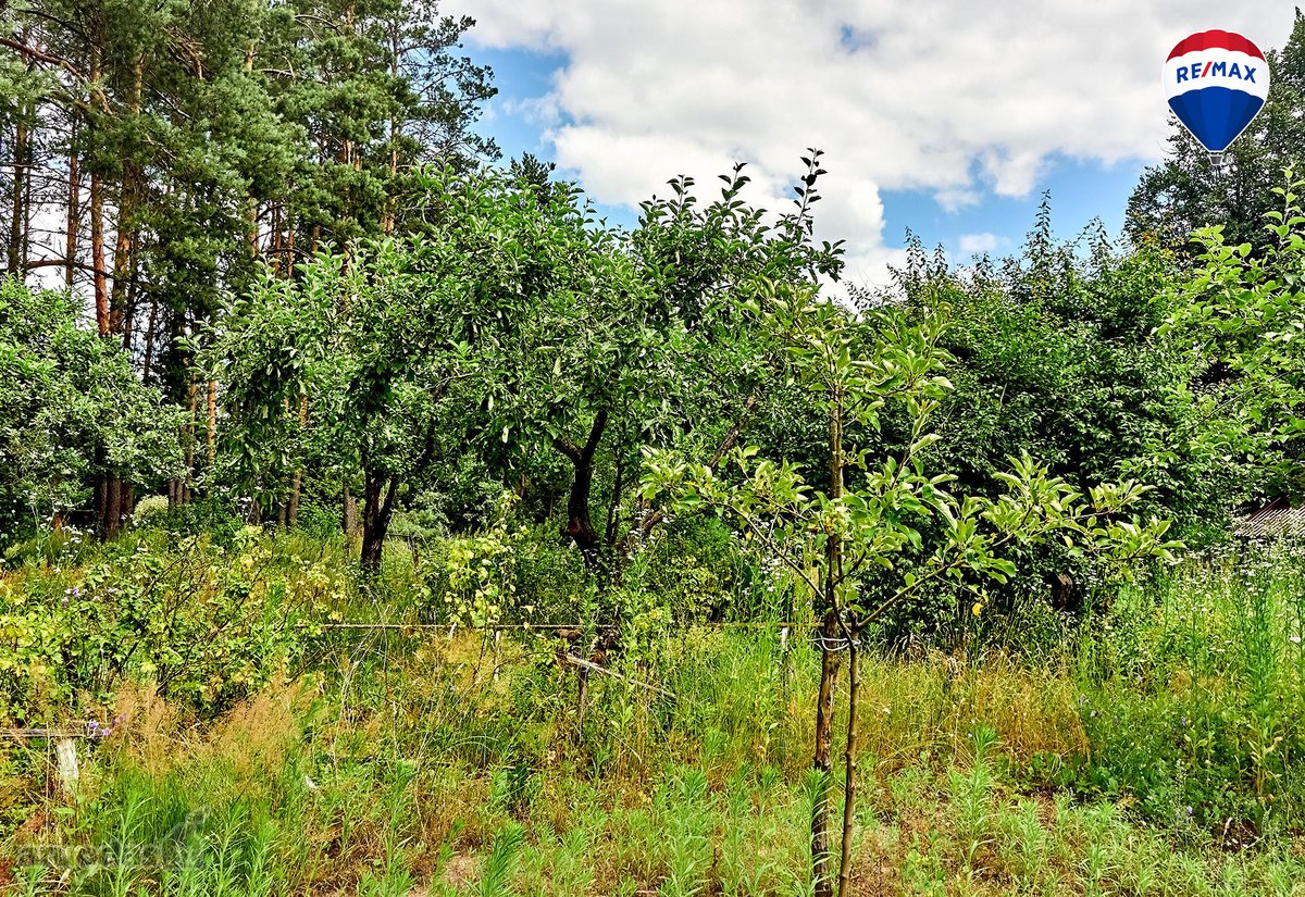Parduodamas puikios lokacijos 10,65 a sklypas - nuotraukos Nr. 15