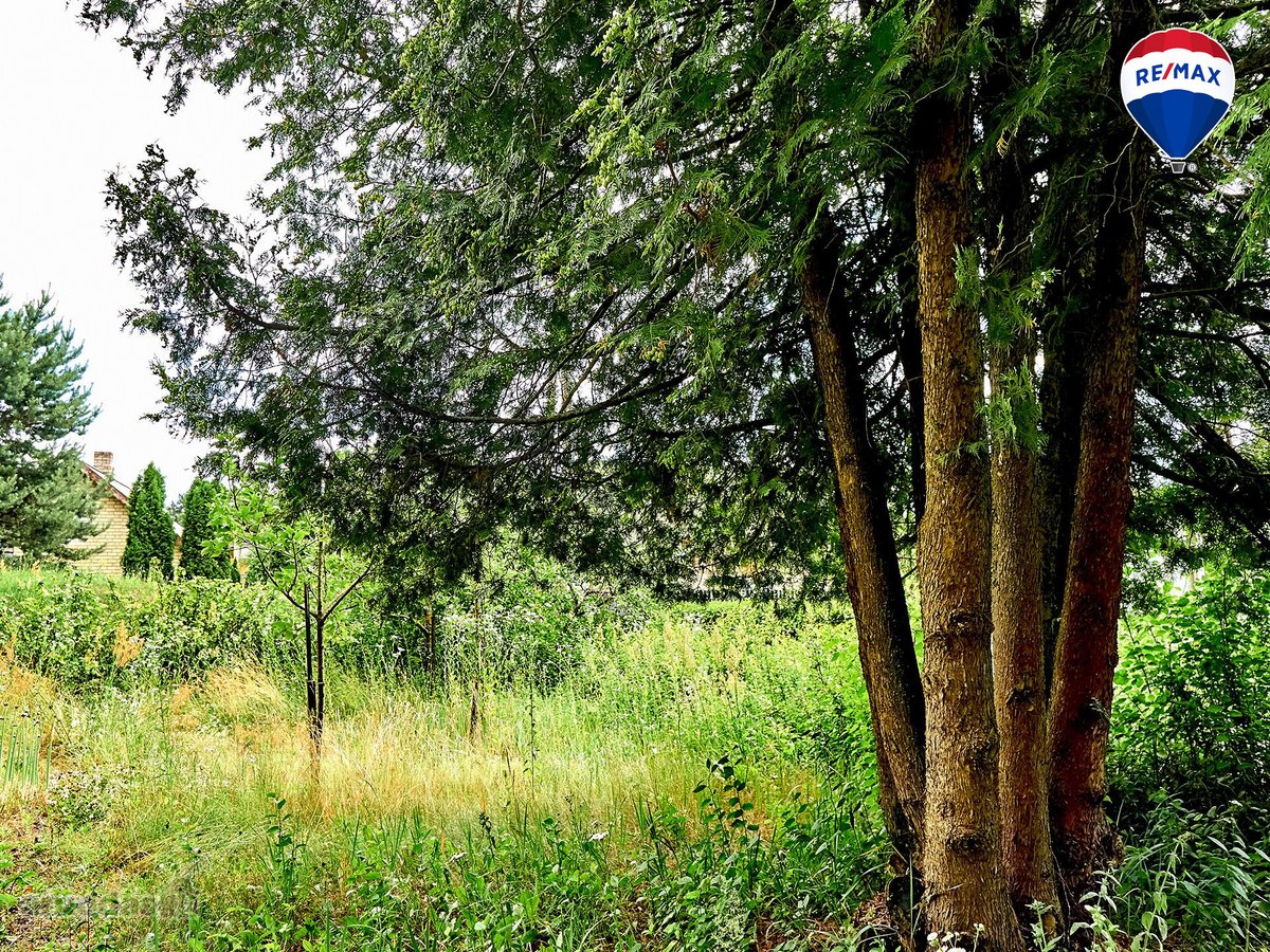 Parduodamas puikios lokacijos 10,65 a sklypas - nuotraukos Nr. 17