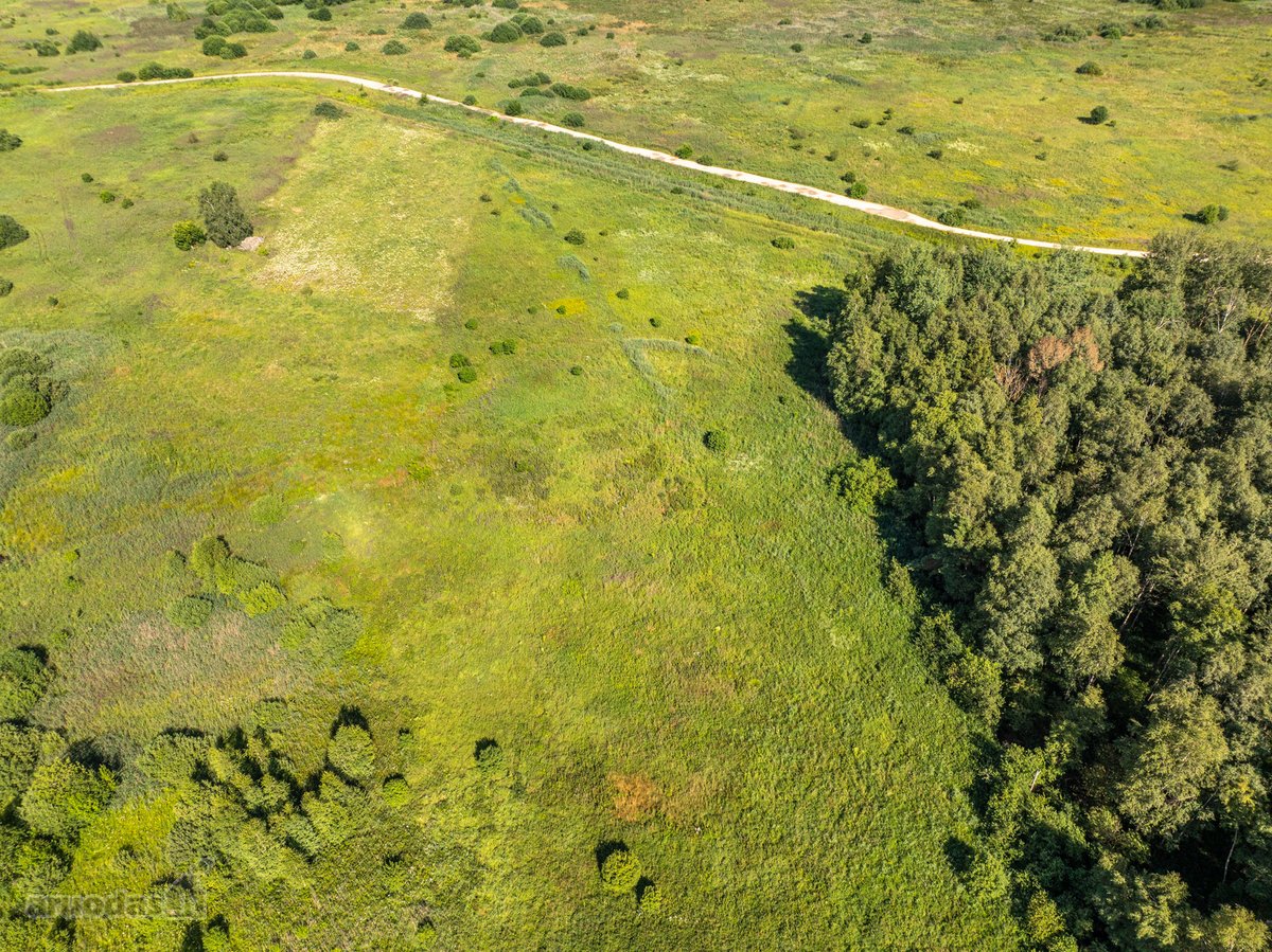 Parduodamas 0,88 ha žemės ūkio sklypas, kurio - nuotraukos Nr. 8