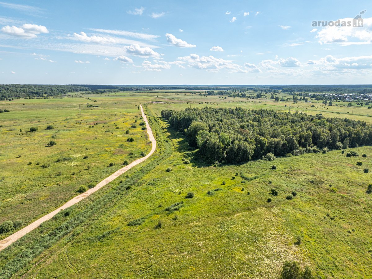 Parduodamas 0,88 ha žemės ūkio sklypas, kurio - nuotraukos Nr. 9