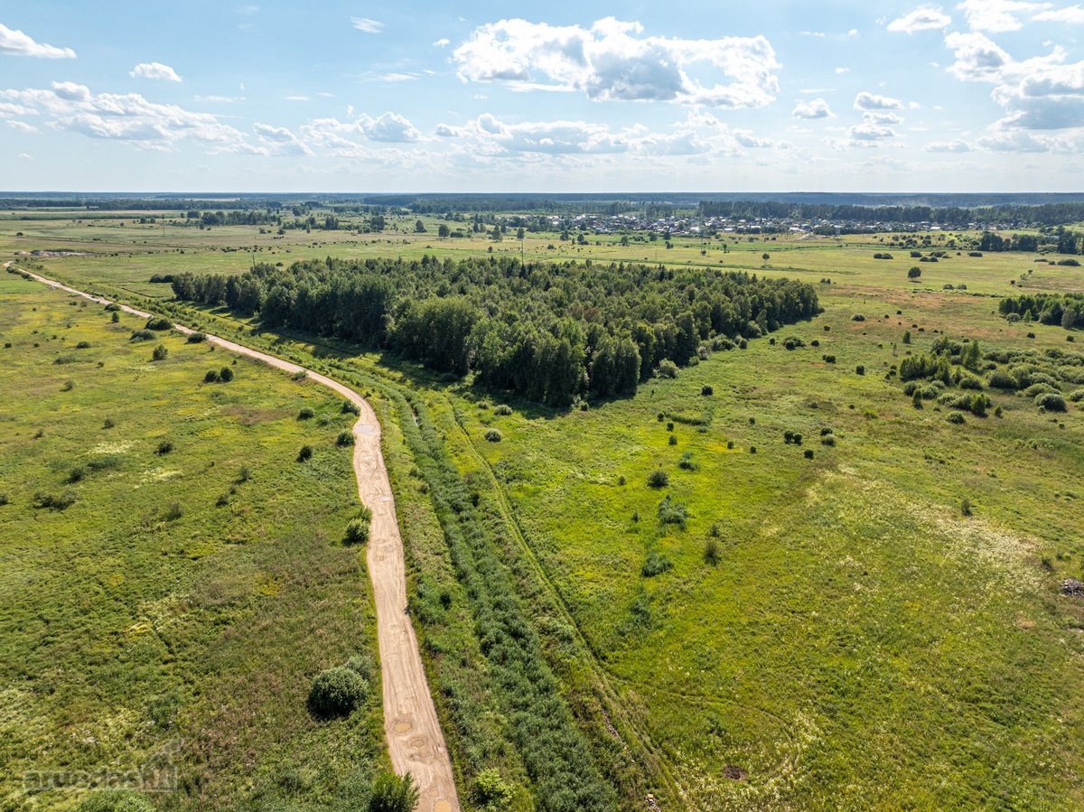 Parduodamas 0,88 ha žemės ūkio sklypas, kurio - nuotraukos Nr. 10