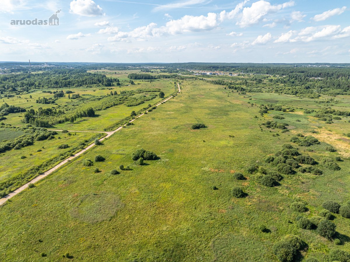 Parduodamas 0,5557 ha žemės ūkio sklypas, - nuotraukos Nr. 9