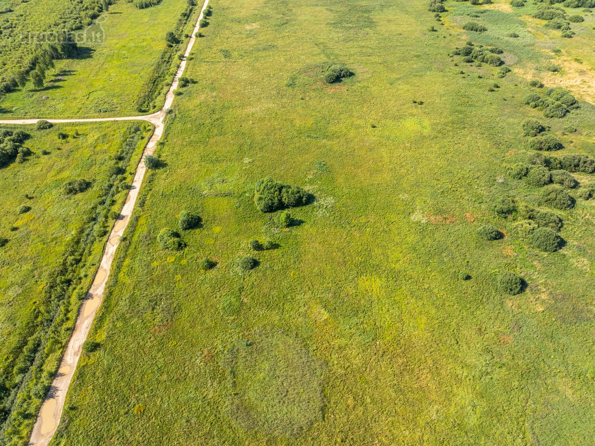 Parduodamas 0,5557 ha žemės ūkio sklypas, - nuotraukos Nr. 10