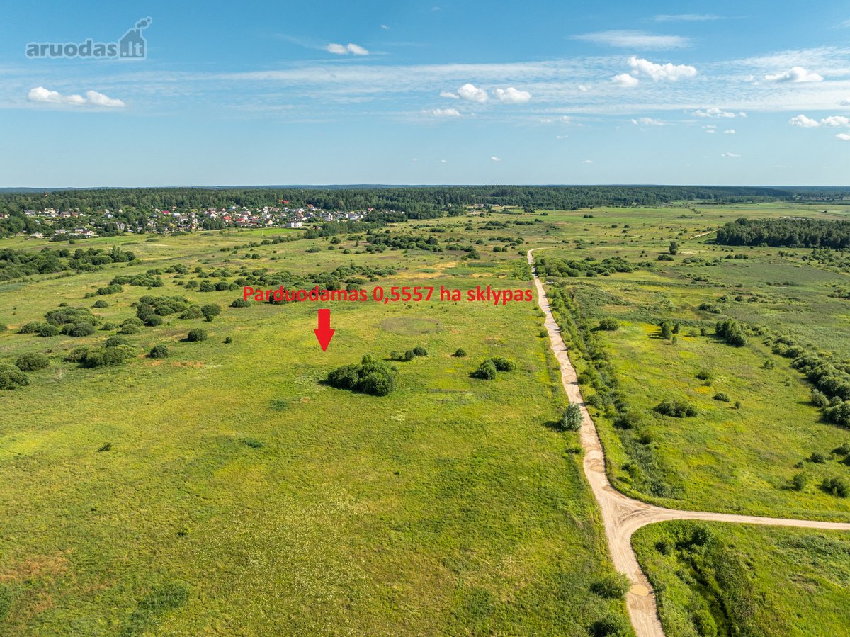 Parduodamas 0,5557 ha žemės ūkio sklypas, - nuotraukos Nr. 5