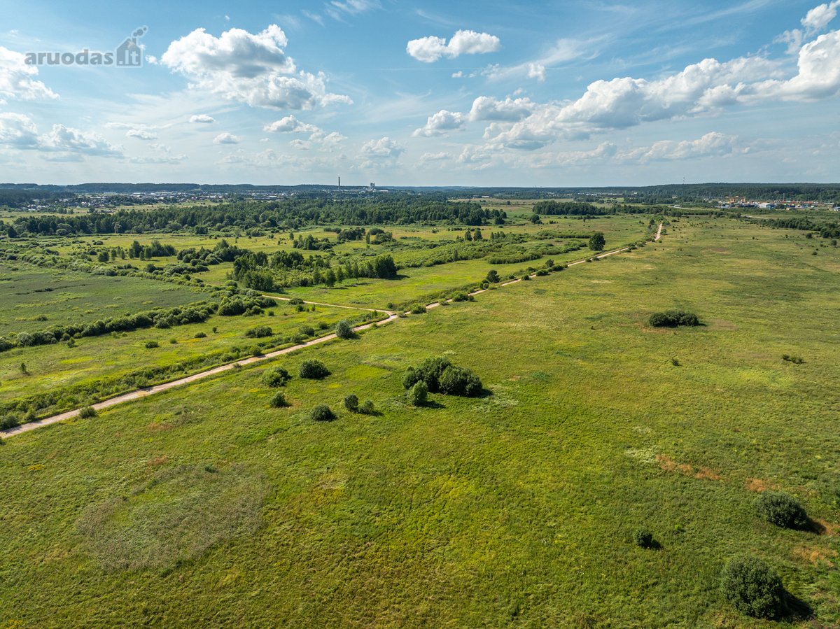 Parduodamas 0,5557 ha žemės ūkio sklypas, - nuotraukos Nr. 11