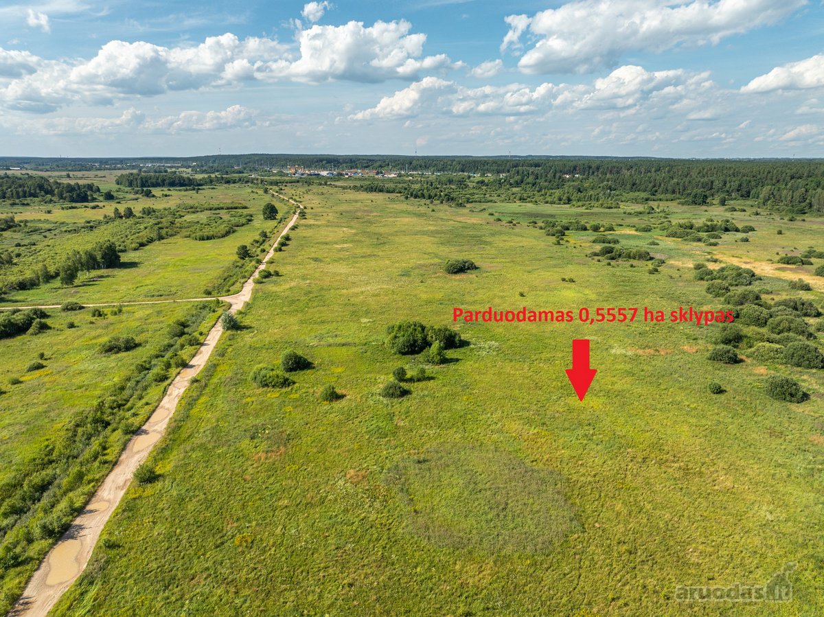 Parduodamas 0,5557 ha žemės ūkio sklypas, - nuotraukos Nr. 6