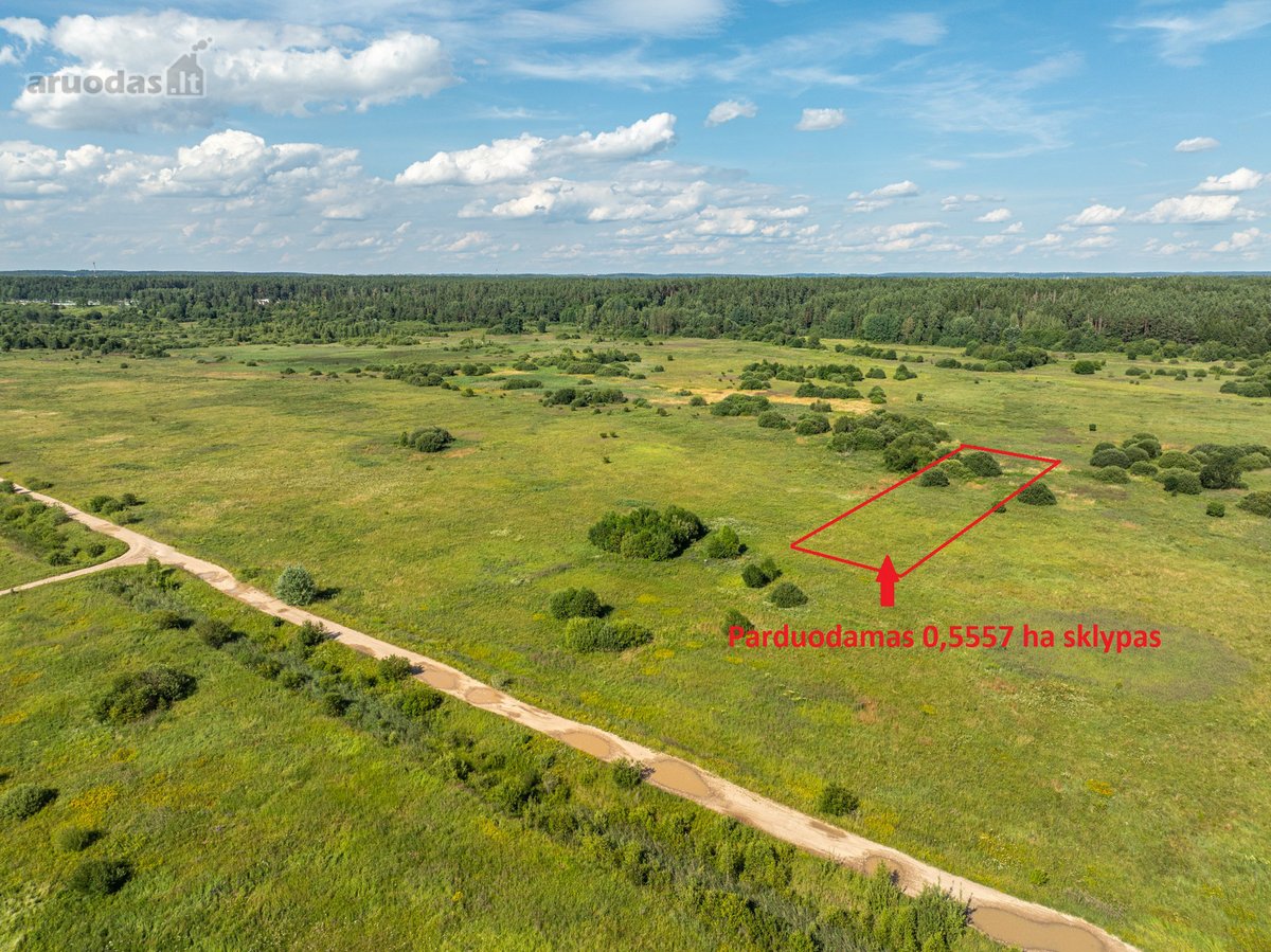 Parduodamas 0,5557 ha žemės ūkio sklypas, - nuotraukos Nr. 7