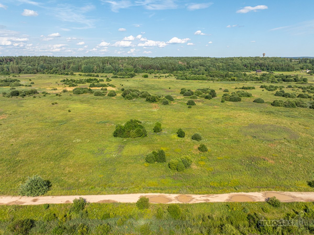 Parduodamas 0,5557 ha žemės ūkio sklypas, - nuotraukos Nr. 12