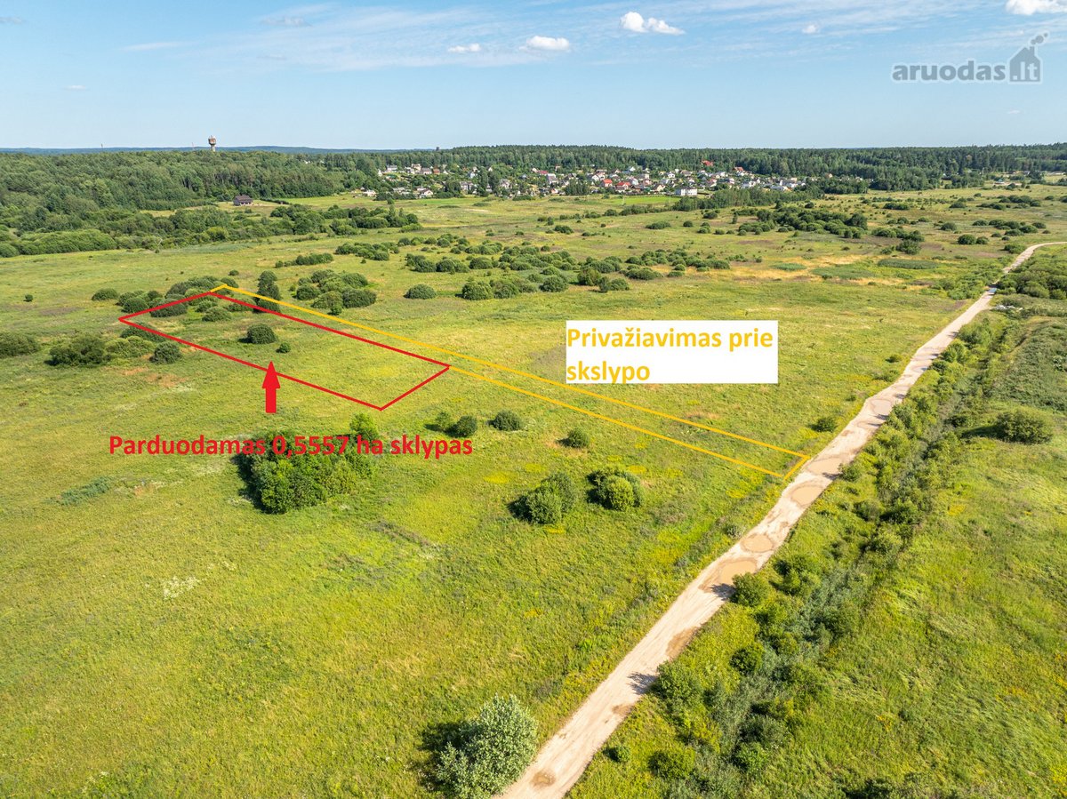 Parduodamas 0,5557 ha žemės ūkio sklypas, - nuotraukos Nr. 4