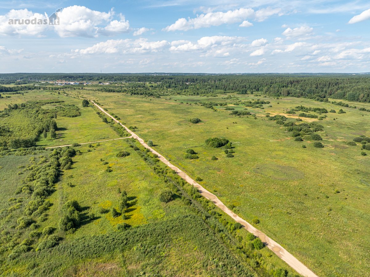 Parduodamas 0,5557 ha žemės ūkio sklypas, - nuotraukos Nr. 13