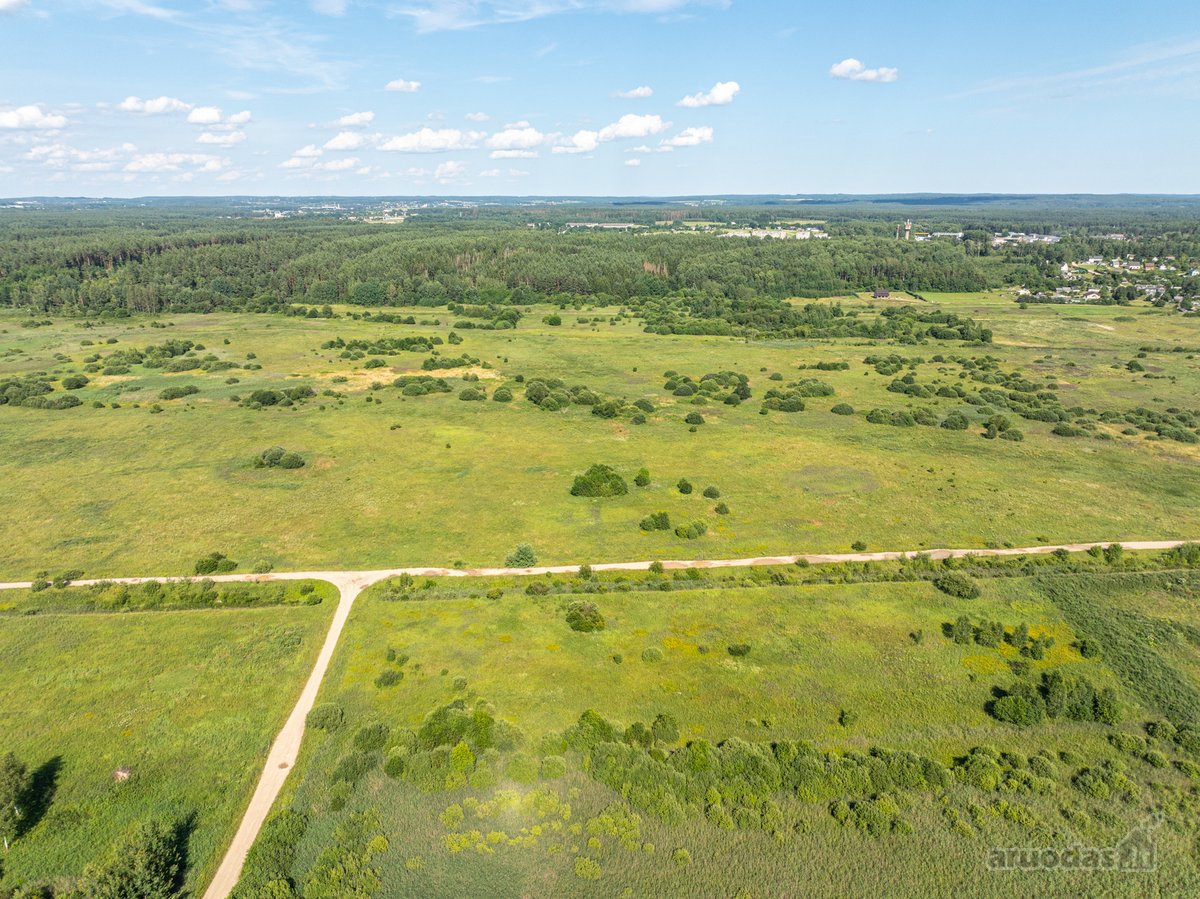 Parduodamas 0,5557 ha žemės ūkio sklypas, - nuotraukos Nr. 14