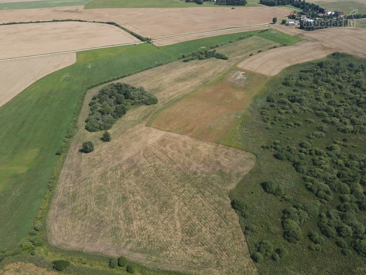 9.2041 Ha Žemės Sklypas Širvintų R. Sav., - nuotraukos Nr. 2