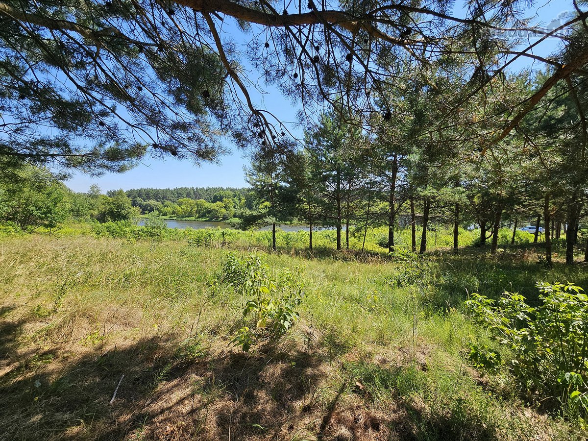 Parduodamas unikalus sklypas sodybai su - nuotraukos Nr. 2