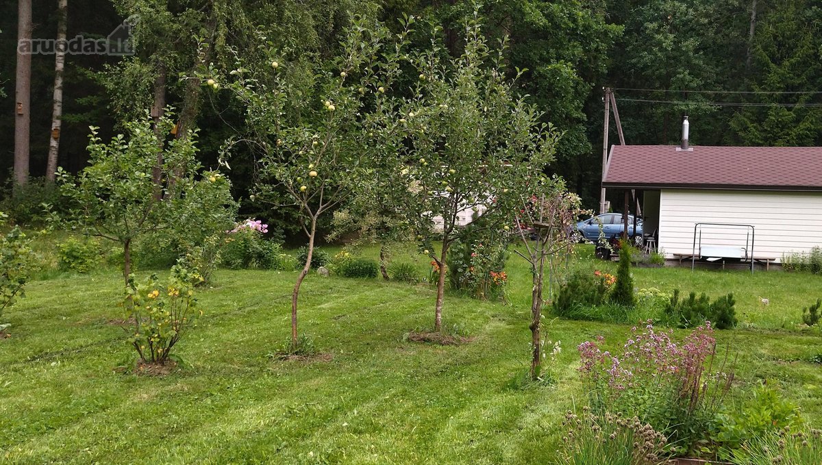 Parduodamas sodas Kauno rajone Kačerginės - nuotraukos Nr. 12