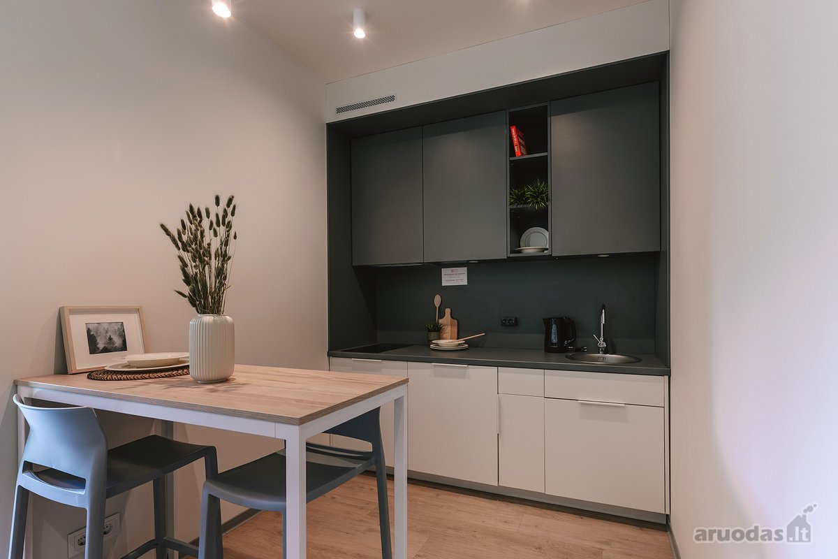 Apartment Lux tipo apartamentai: - nuotraukos Nr. 5