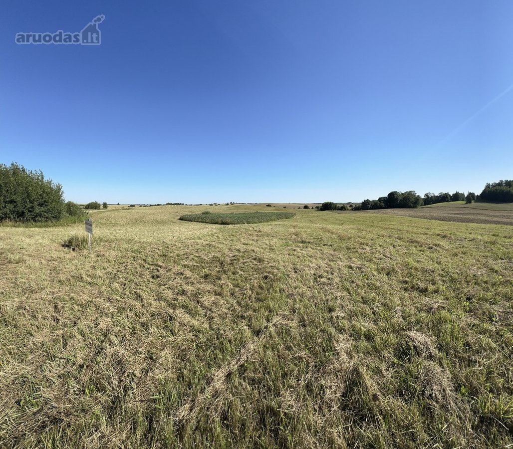 Parduodamas 4,79 ha Ploto Žemės Ūkio - nuotraukos Nr. 8