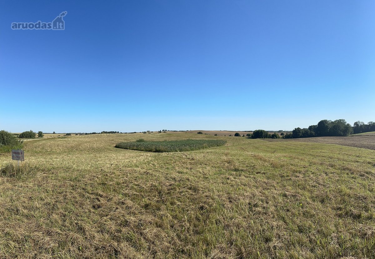 Parduodamas 4,79 ha Ploto Žemės Ūkio - nuotraukos Nr. 9
