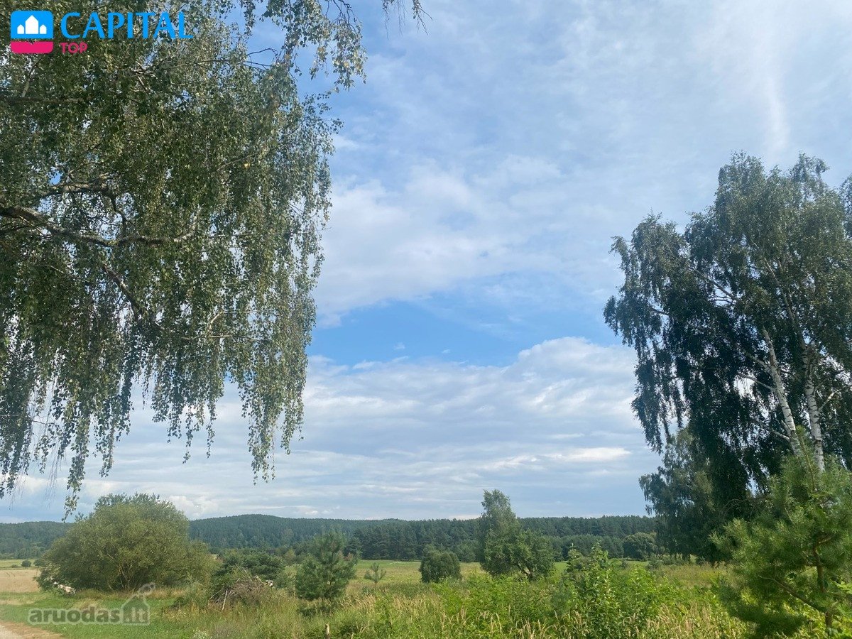 Parduodami Du Besiribojantys Sklypai Mikytų K - nuotraukos Nr. 11
