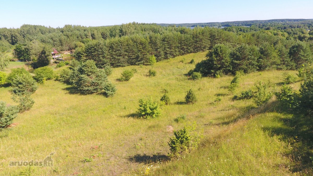 Parduodamas 100 arų namų valdos žemės sklypas - nuotraukos Nr. 10