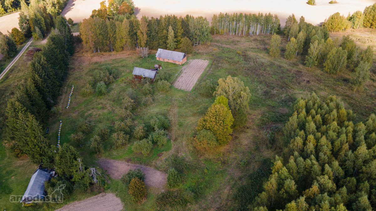 Parduodamas Namas-sodyba Ir Du Žemės Sklypai - nuotraukos Nr. 4