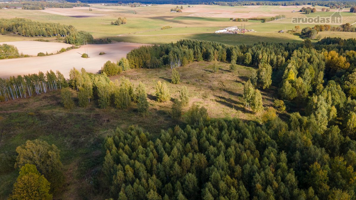 Parduodamas Namas-sodyba Ir Du Žemės Sklypai - nuotraukos Nr. 5