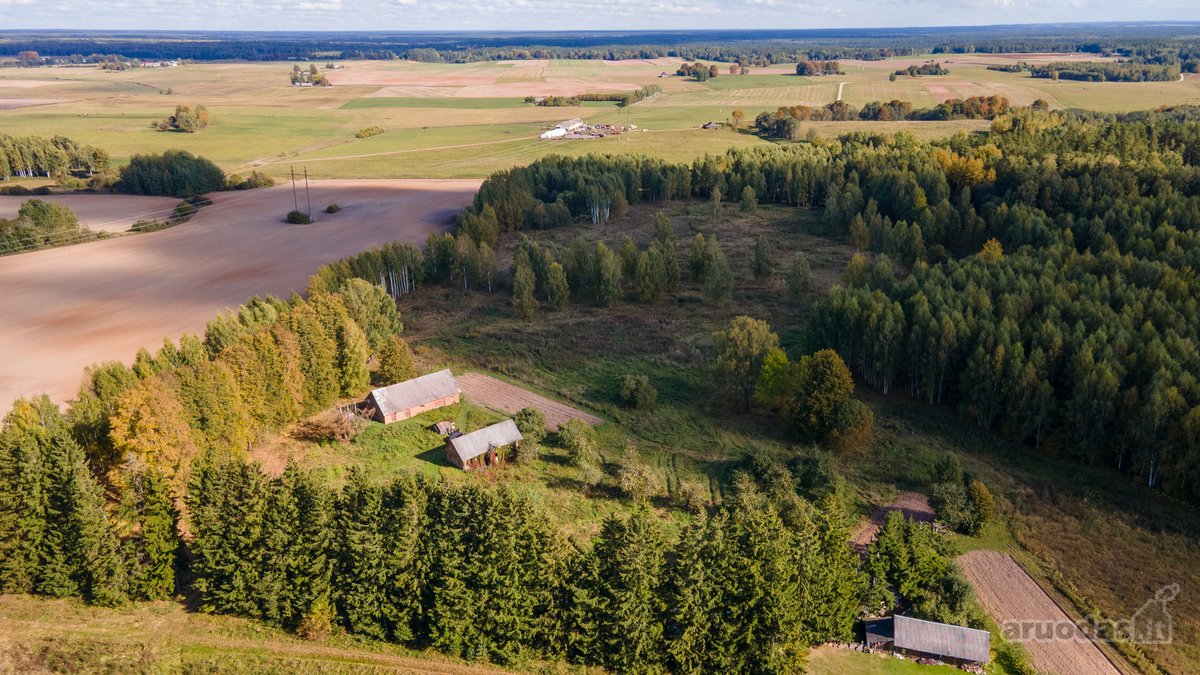 Parduodamas Namas-sodyba Ir Du Žemės Sklypai - nuotraukos Nr. 6