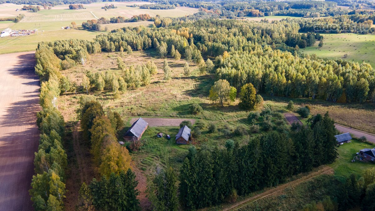 Parduodamas Namas-sodyba Ir Du Žemės Sklypai - nuotraukos Nr. 7