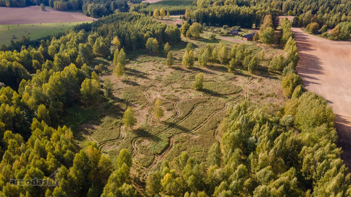 Parduodamas Namas-sodyba Ir Du Žemės Sklypai - nuotraukos Nr. 9