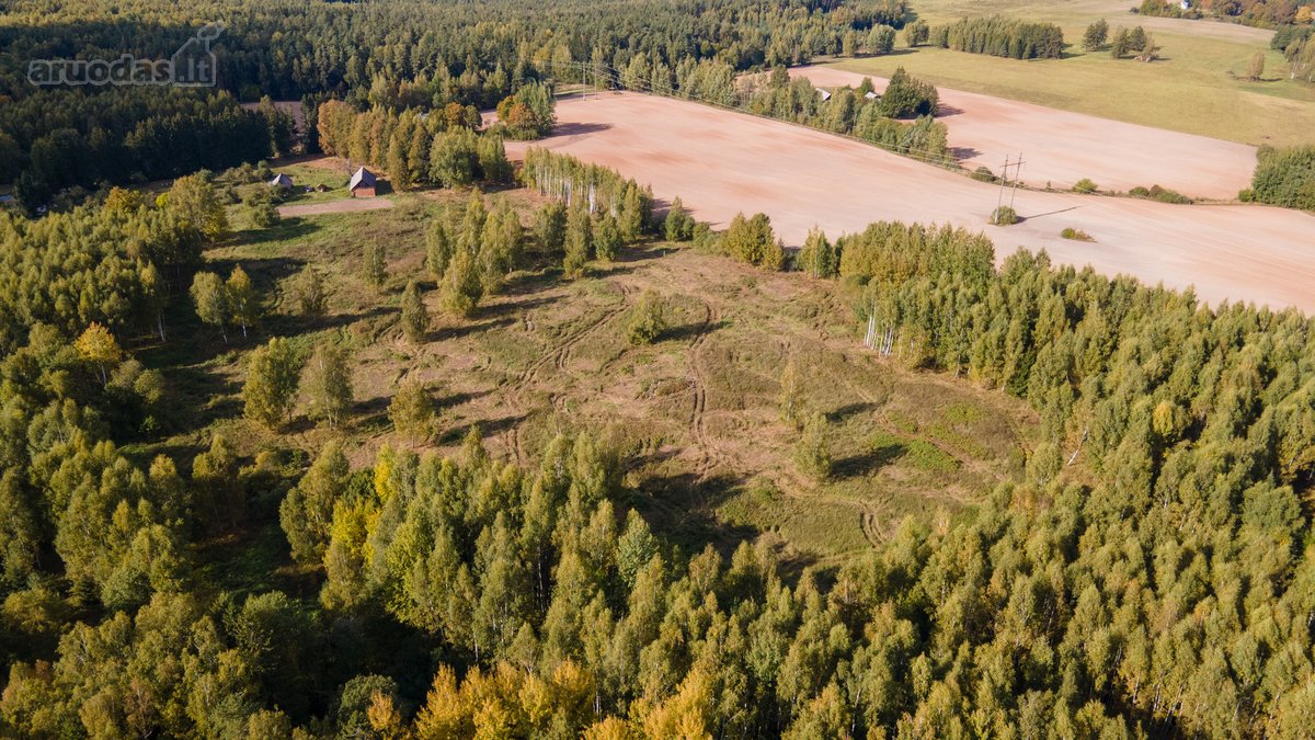 Parduodamas Namas-sodyba Ir Du Žemės Sklypai - nuotraukos Nr. 10