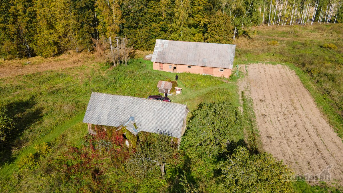 Parduodamas Namas-sodyba Ir Du Žemės Sklypai - nuotraukos Nr. 12