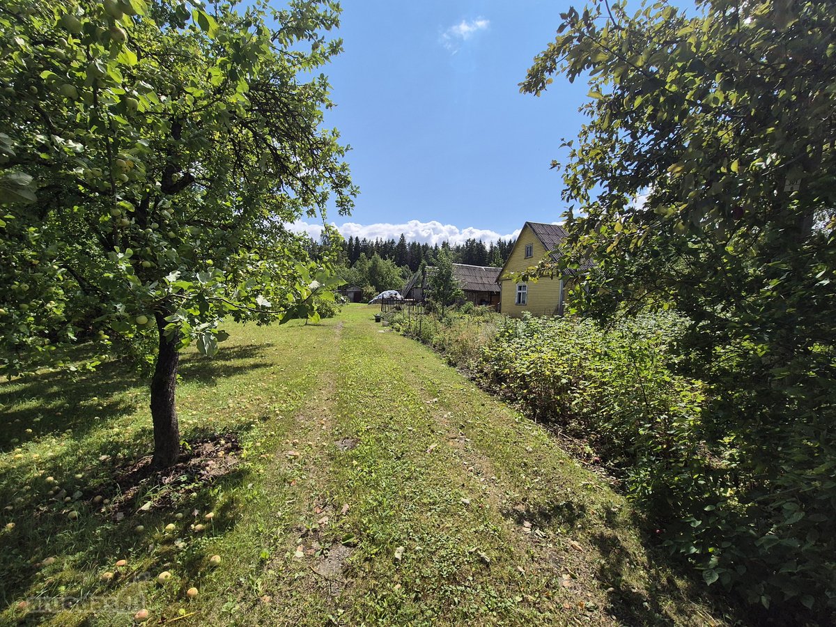Parduodama Sodyba Su 30 Arų Žemės Sklypu Ir - nuotraukos Nr. 3