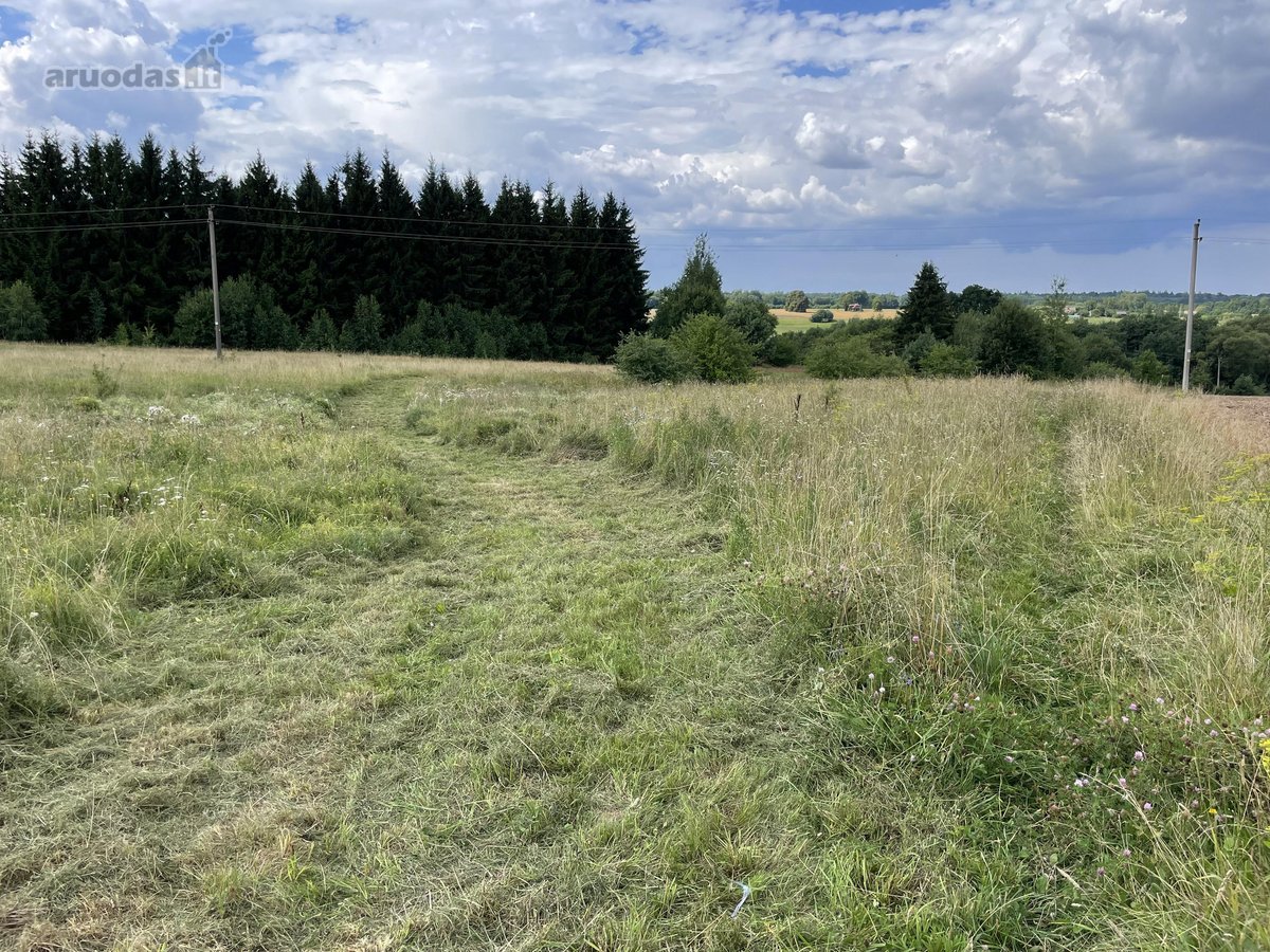 Parduodami trys sklypai: - nuotraukos Nr. 6