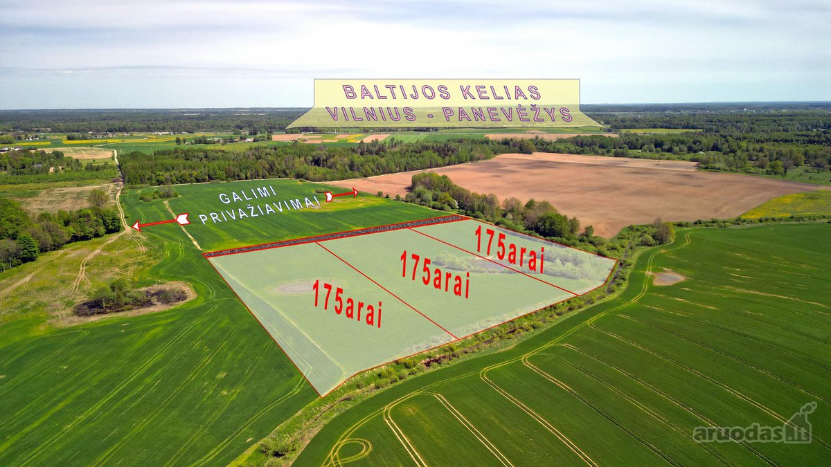 Vos 45 km nuo Vilniaus, gamtos apsuptyje - nuotraukos Nr. 4