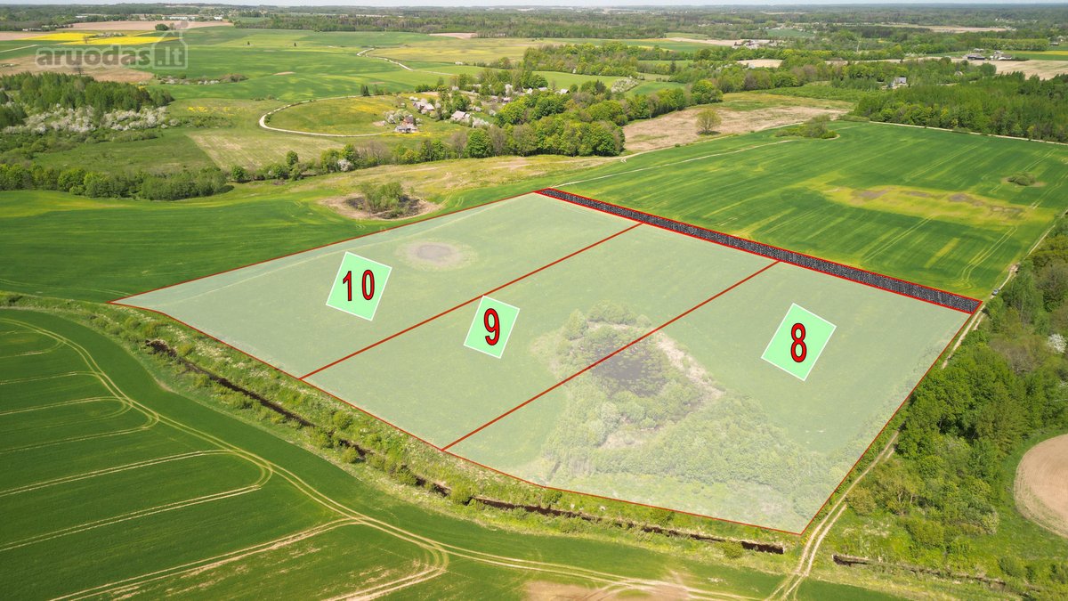 Vos 45 km nuo Vilniaus, gamtos apsuptyje - nuotraukos Nr. 2