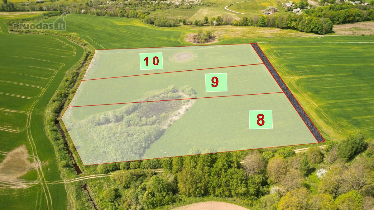Vos 45 km nuo Vilniaus, gamtos apsuptyje - nuotraukos Nr. 3