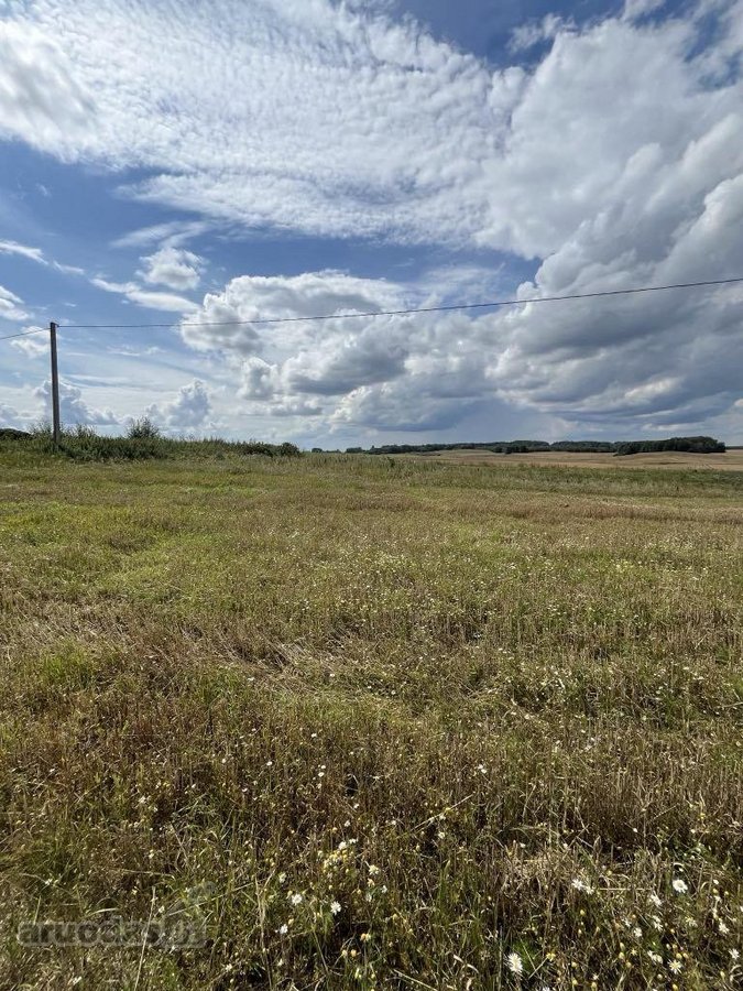 Sumažinome Kainą -parduodamas - žemės sklypas