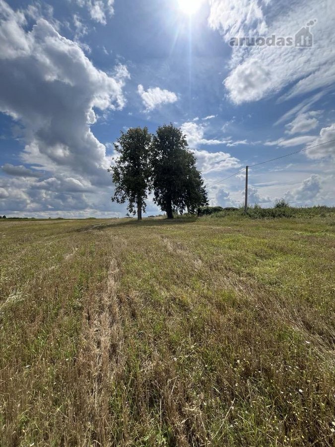 Sumažinome Kainą -parduodamas - žemės sklypas - nuotraukos Nr. 2
