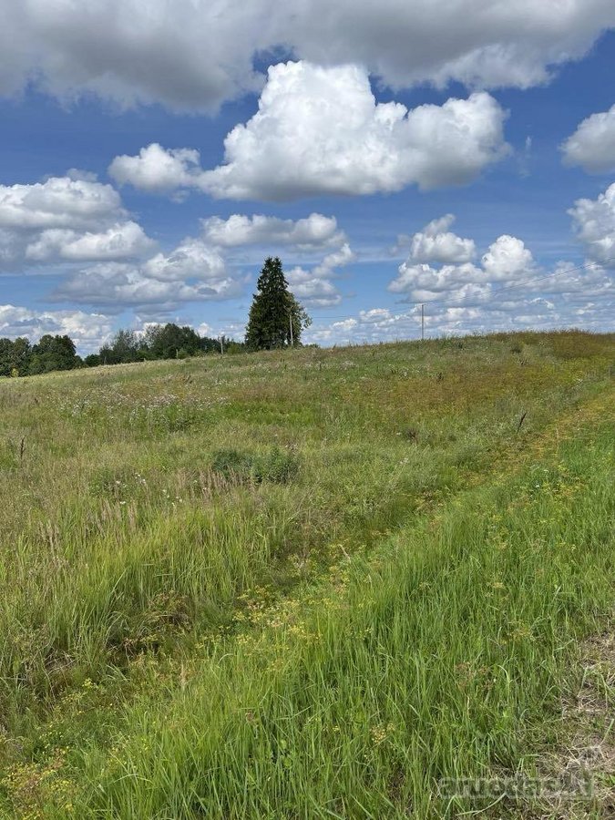 Sumažinome Kainą -parduodamas - žemės sklypas - nuotraukos Nr. 4