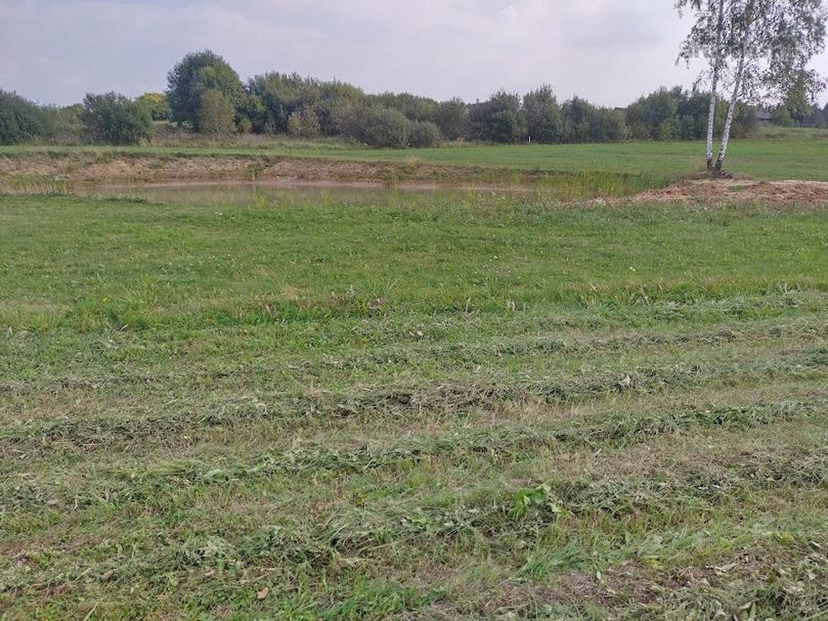 Sklypas 42,51 arų. - nuotraukos Nr. 7
