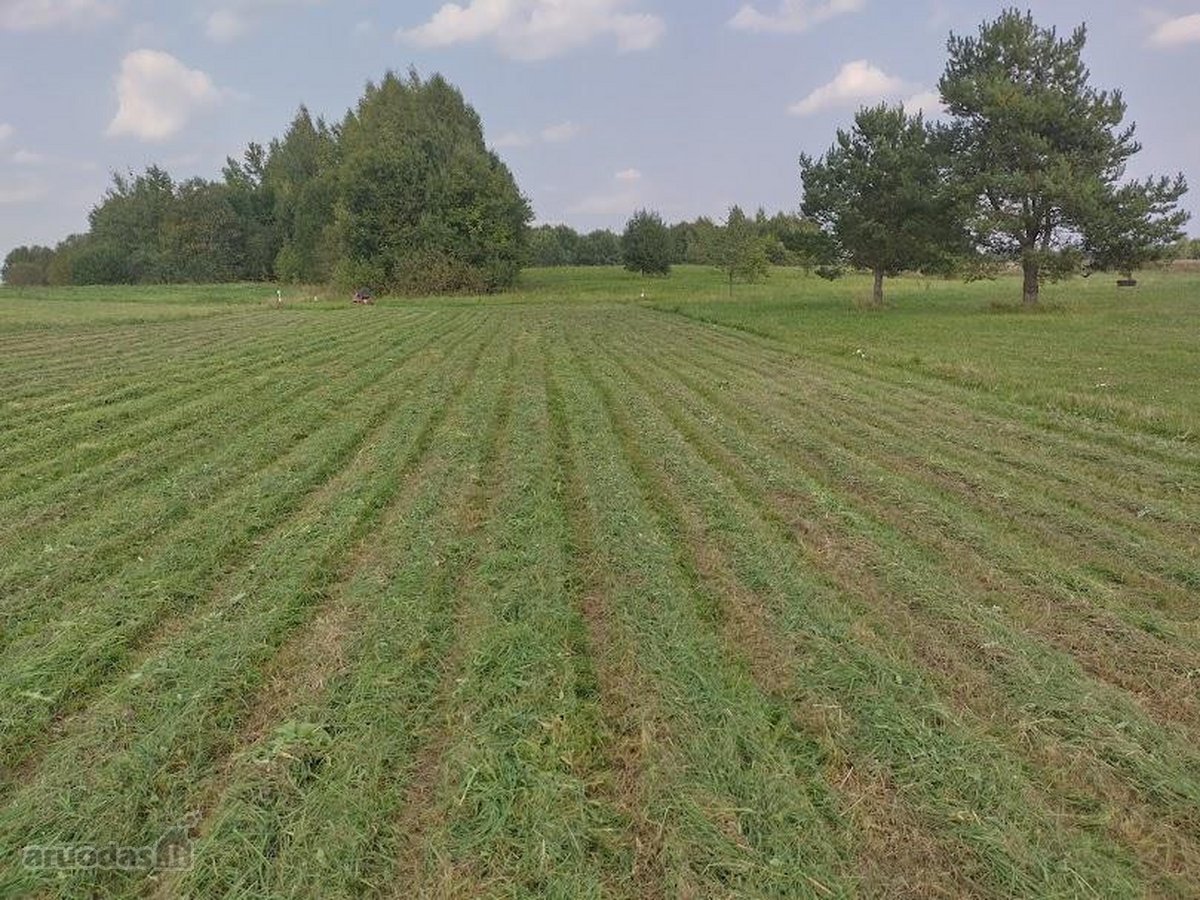 Sklypas 42,51 arų. - nuotraukos Nr. 9