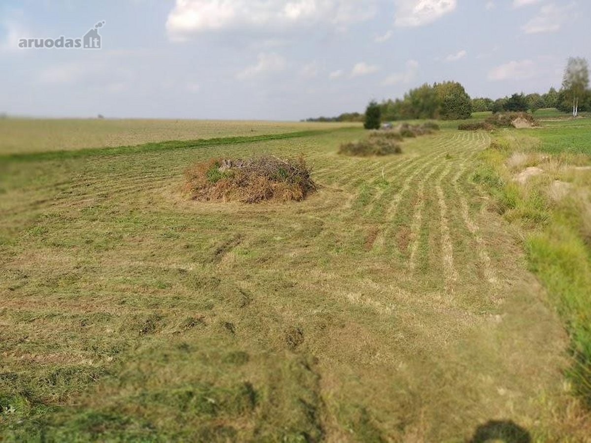 Sklypas 42,51 arų. - nuotraukos Nr. 5
