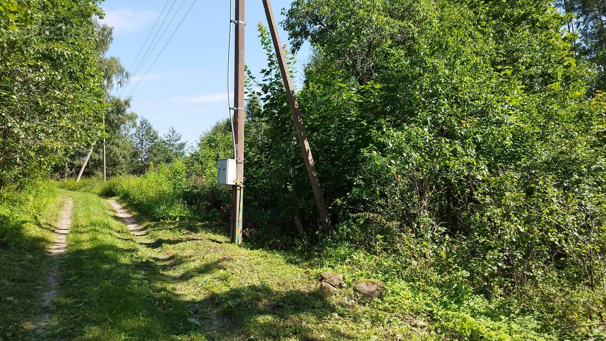 Sodyba parduodama be tarpininkų. Vieta rami - nuotraukos Nr. 10
