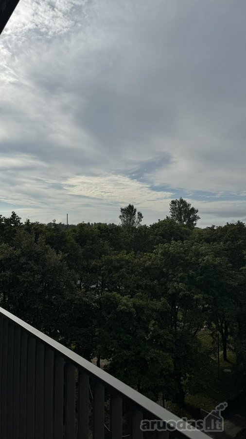 Naujai Įrengtas Ir Puikios Būklės Dviejų - nuotraukos Nr. 20