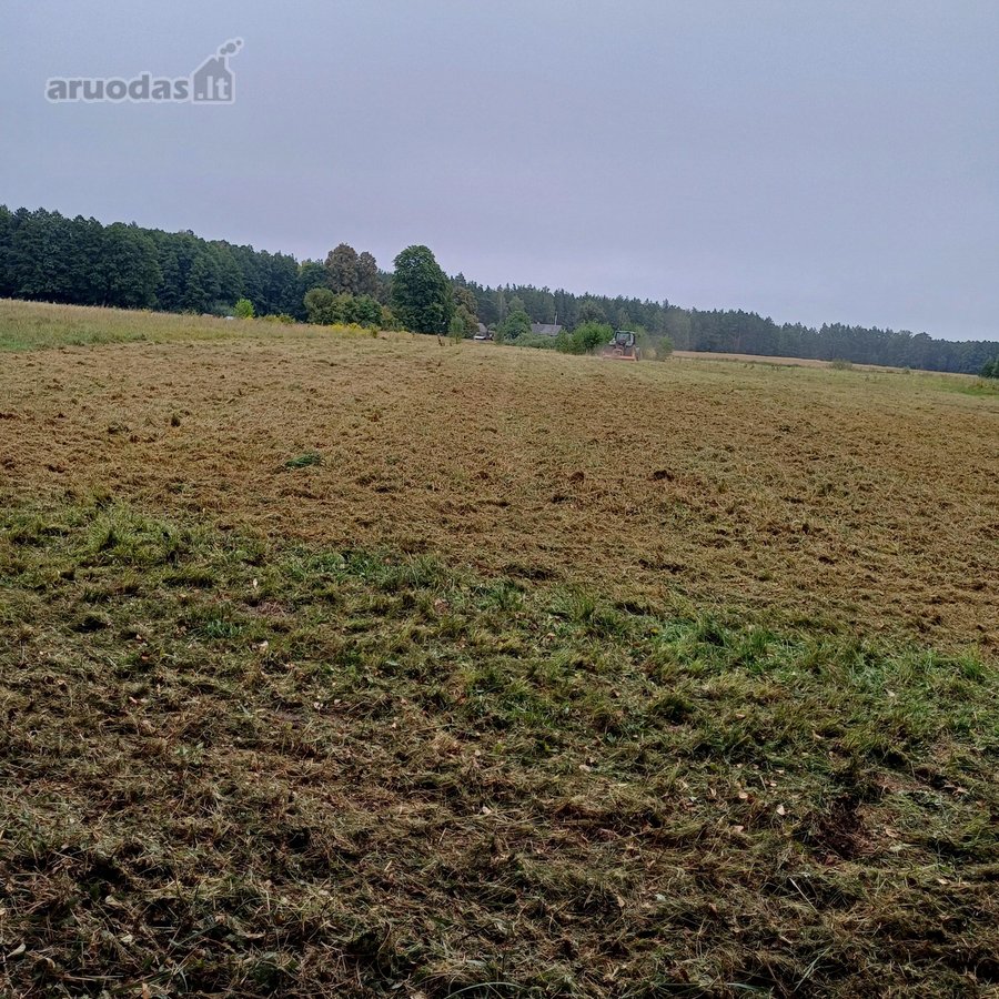 Sklypas Prie Ežero , Dulgas ;; - nuotraukos Nr. 18