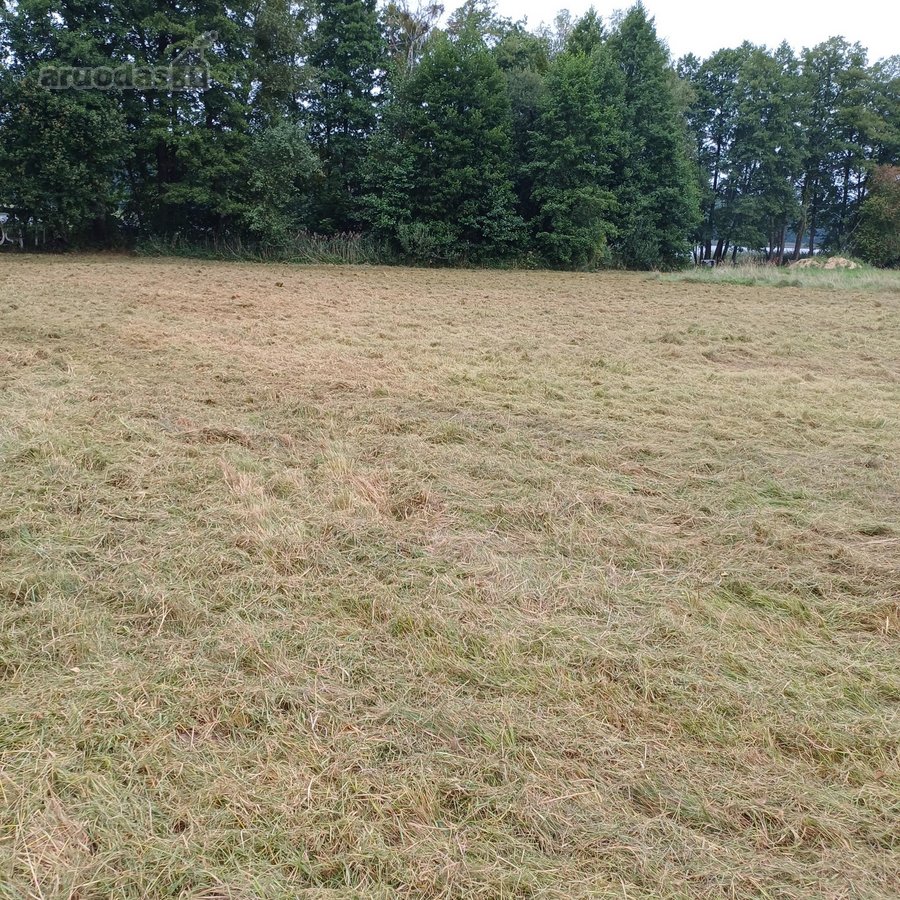 Sklypas Prie Ežero , Dulgas ;; - nuotraukos Nr. 17