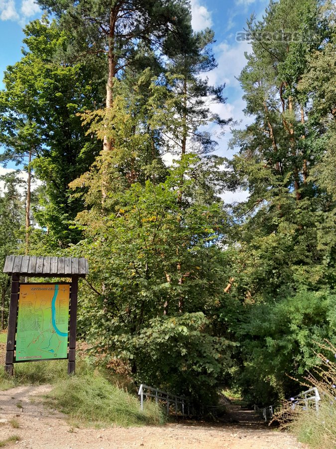 Su puikiu panoraminiu vaizdu parduodamas - nuotraukos Nr. 14