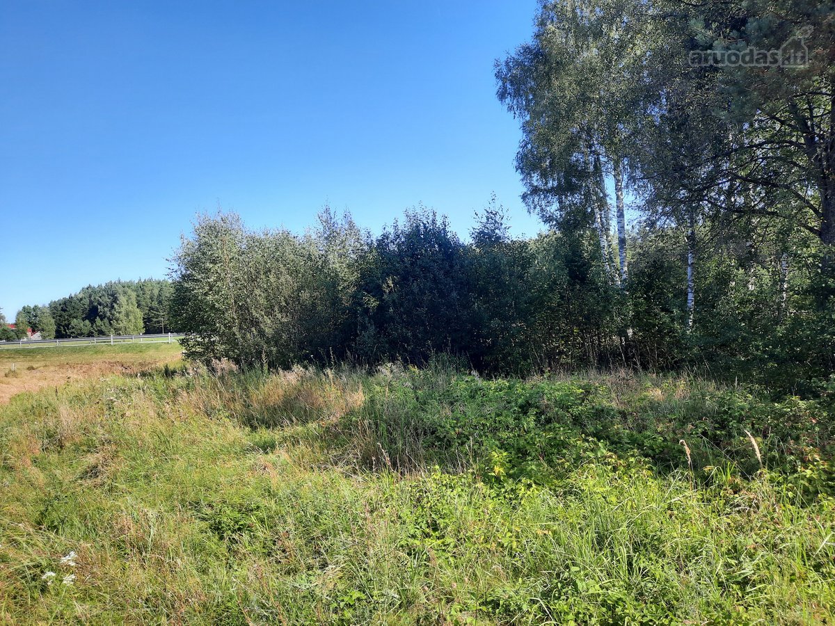Sklypas Jūsų Idėjos Įgyvendinimui!  - nuotraukos Nr. 2