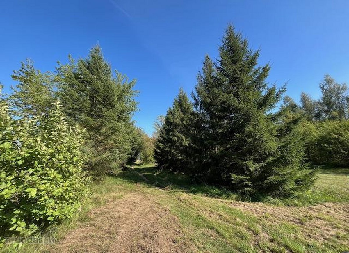 Parduodamas itin patrauklus žemės sklypas - nuotraukos Nr. 2