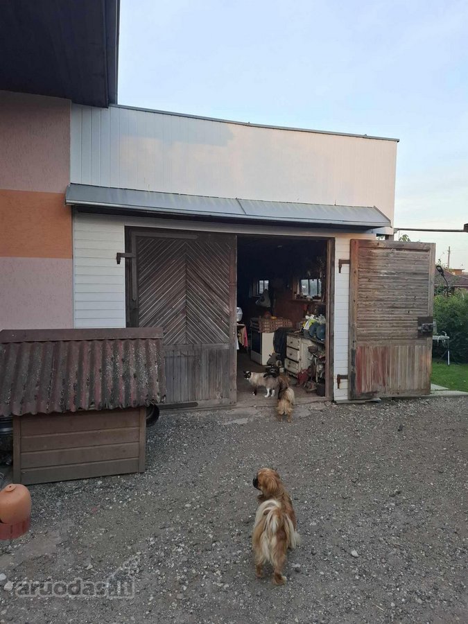 Parduodamas Rojaus kampelis Draugystės soduose. - nuotraukos Nr. 6